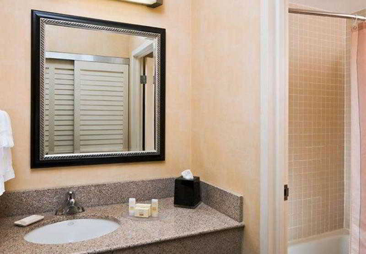 Bathroom 4, Courtyard Baltimore BWI Airport, Anne Arundel
