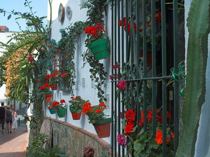 Others 4, Hostal Micaela, Málaga