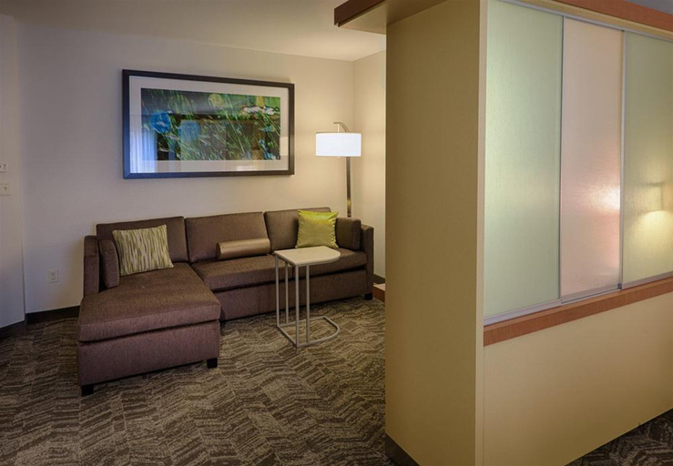 Public Area 2, SpringHill Suites by Marriott Albany-Colonie, Albany