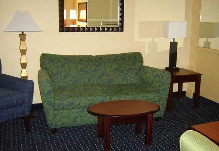 Public Area 3, SpringHill Suites Baton Rouge South, East Baton Rouge