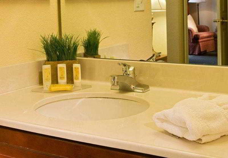 Bathroom 5, Residence Inn Denver South/Park Meadows Mall, Douglas