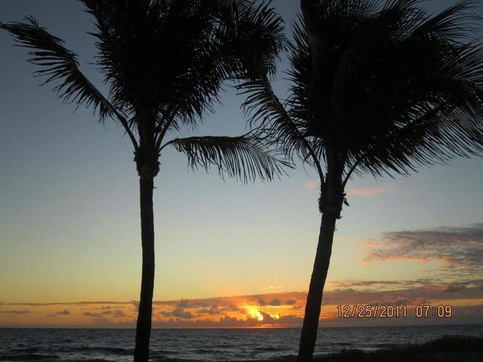 Exterior & Views 3, Ebb Tide Resort Oceanfront, Broward