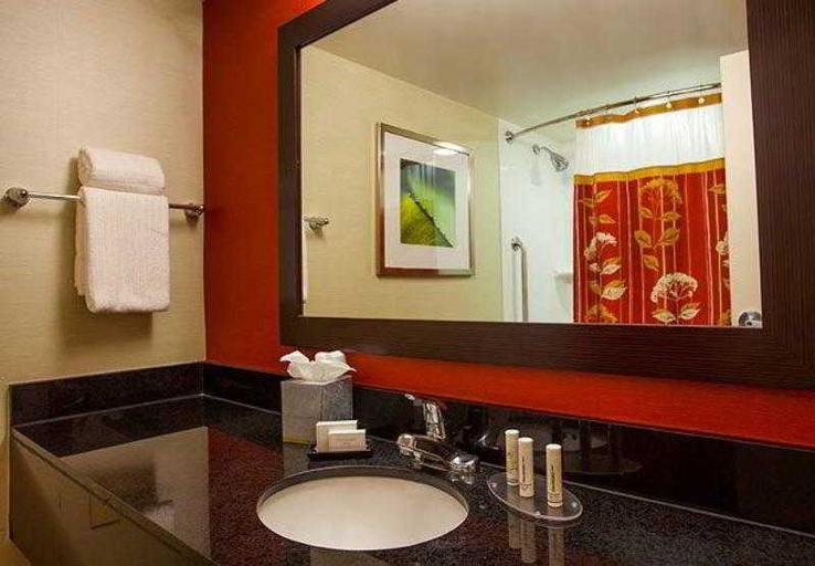 Bathroom 5, Courtyard Charlotte Airport/Billy Graham Parkway, Mecklenburg