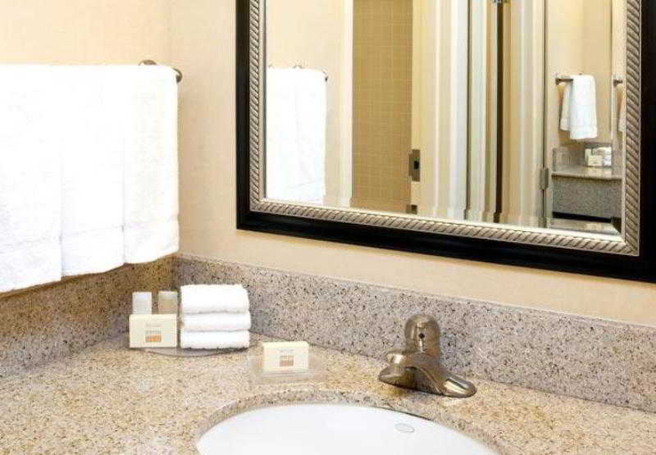 Bathroom 4, Courtyard Greenville Haywood Mall, Greenville