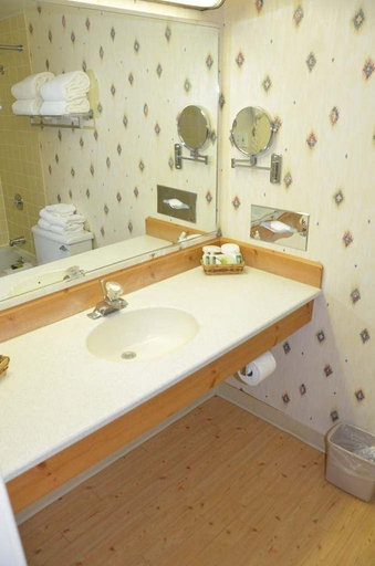 Bathroom 4, Sawmill Creek by Cedar Point Resorts, Erie