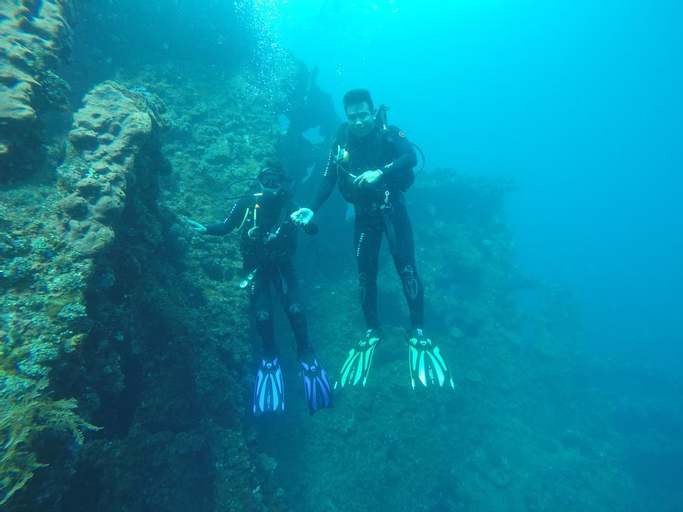 Ocean View Dive Resort Tulamben, Karangasem