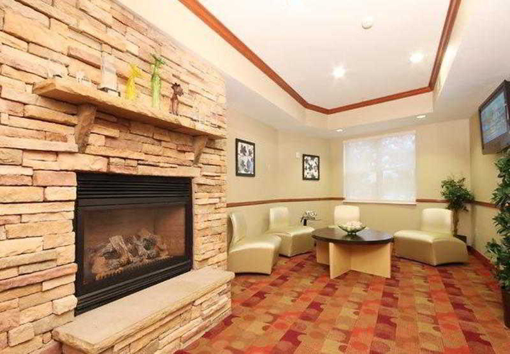 Public Area 3, Towneplace Suites Springfield, Fairfax