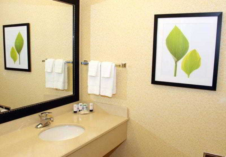 Bathroom 4, Fairfield Inn & Suites Marion, Williamson