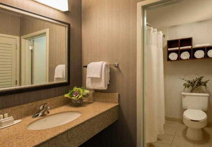 Bathroom 5, Courtyard by Marriott Addison Midway, Dallas