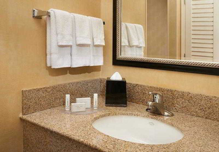 Bathroom 4, Courtyard Detroit Metro Airport Romulus, Wayne