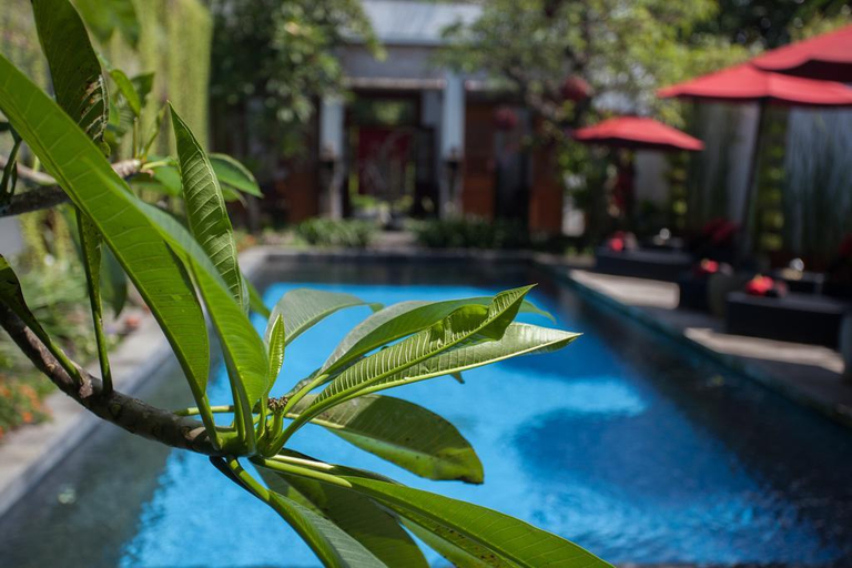 Sport & Beauty 2, Villa KamarKamar Bali, Badung