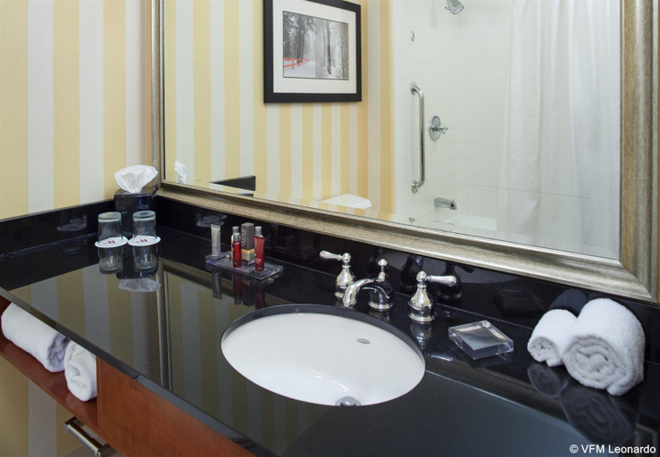 Bathroom 4, Detroit Marriott Southfield, Oakland