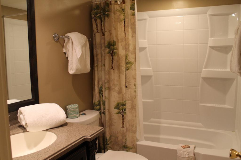 Bathroom, Amelia South Condos, Nassau