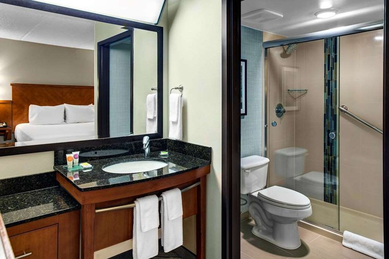 Bathroom 4, Hyatt Place Atlanta/Norcross/Peachtree, Gwinnett