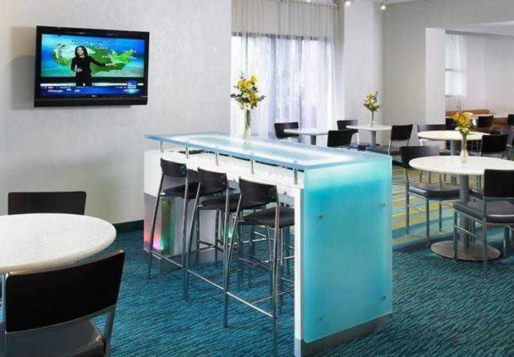 Public Area 4, SpringHill Suites Chicago Lincolnshire, Lake