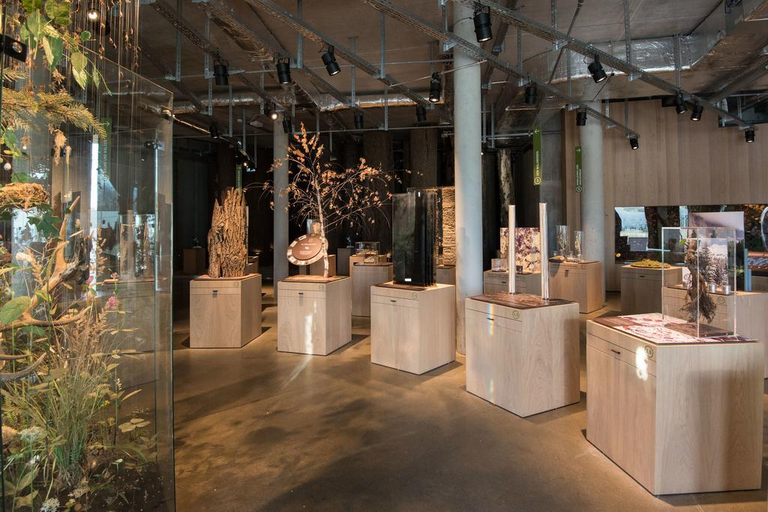 Public Area 3, Raphael Wälderhaus, Hamburg