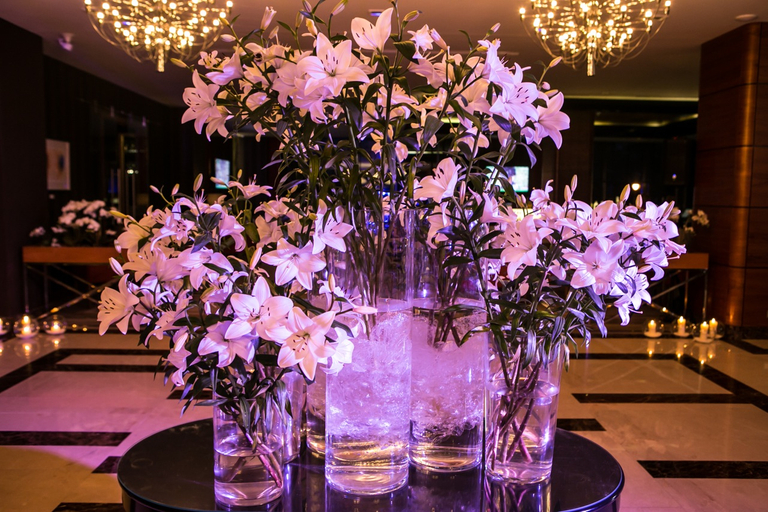 Public Area 4, GrandHotel Tiffi, Iława