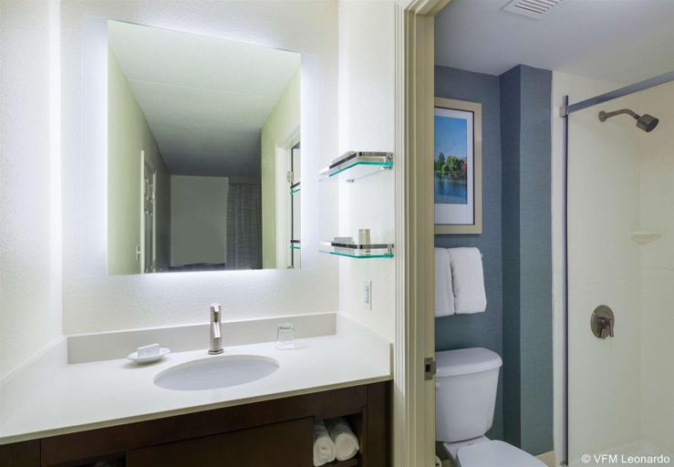 Bathroom 4, Residence Inn Boston Framingham, Middlesex