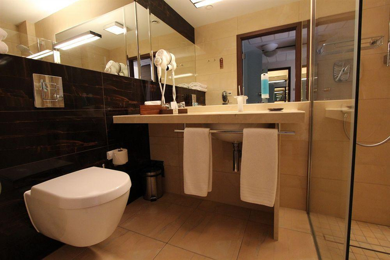 Bathroom 5, Odyssey ClubHotel Wellness & SPA, Kielce