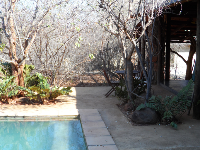 Sport & Beauty 2, Shikwari Game Reserve, Mopani