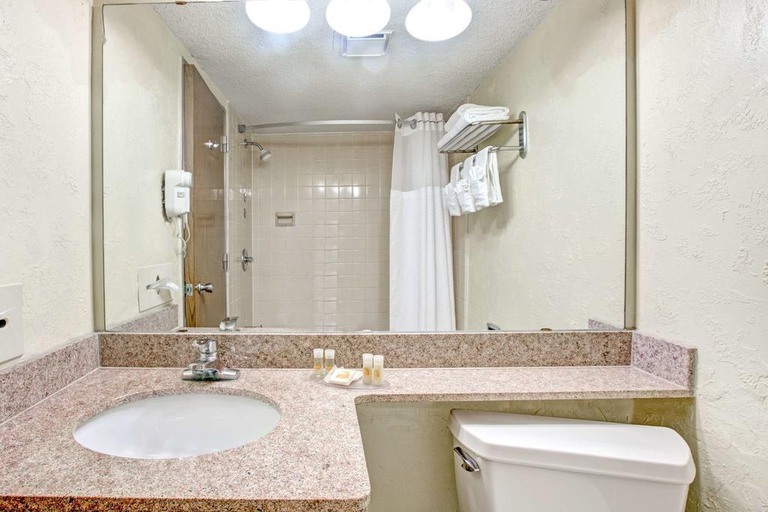 Bathroom 4, Red Roof Inn Gastonia, Gaston