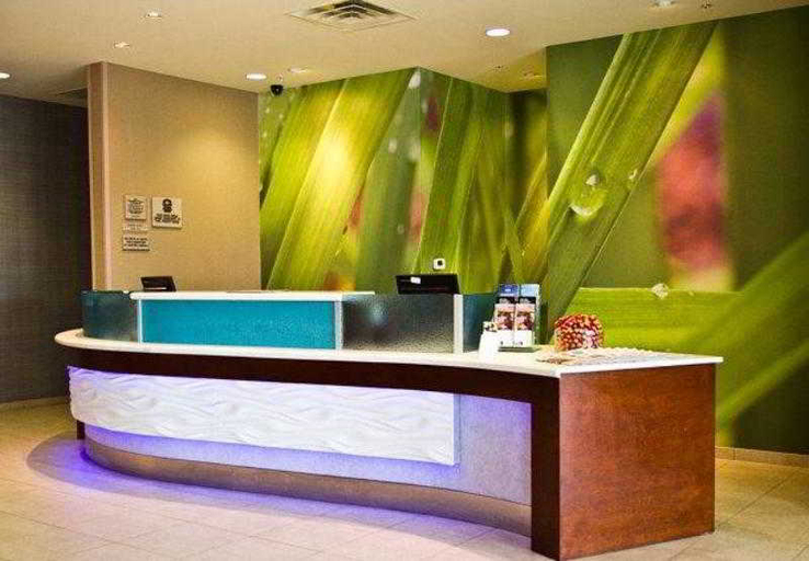 Public Area 2, SpringHill Suites Dallas Richardson/Plano, Collin