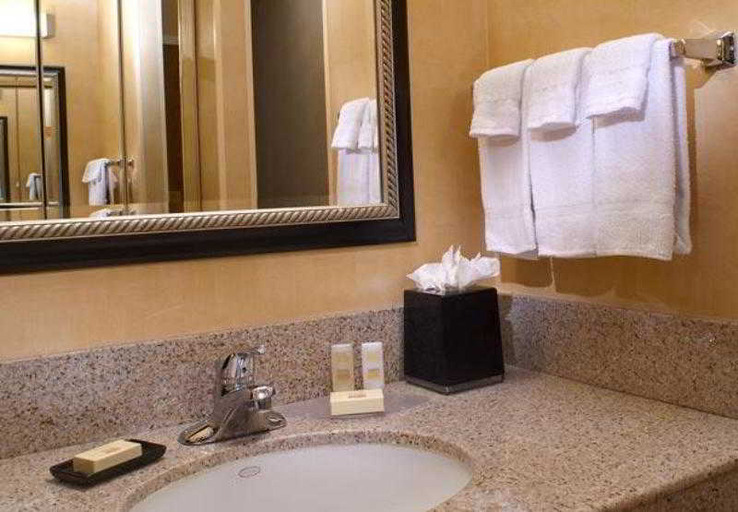 Bathroom 4, Courtyard Detroit Metro Airport Romulus, Wayne
