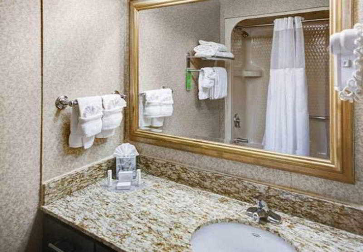 Bathroom 5, TownePlace Suites by Marriott Atlanta Buckhead, Atlanta