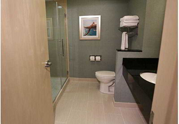 Bathroom 4, Fairfield Inn & Suites St. John's Newfoundland, Division No. 1