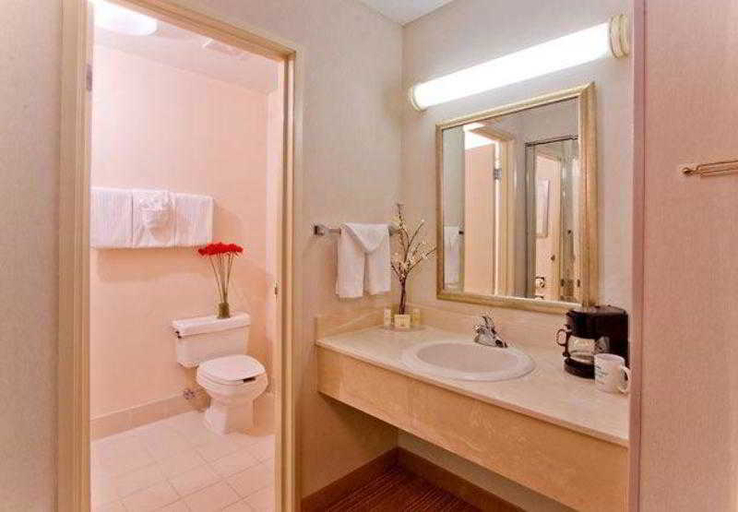 Bathroom 4, Courtyard Lansing, Ingham