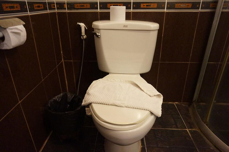 Bathroom 4, Vang Thong Hotel, Luang Prabang