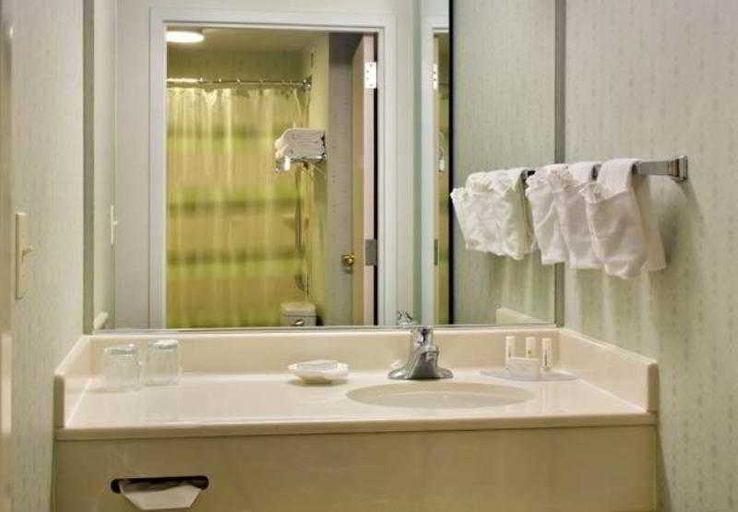 Bathroom 3, Springhill Suites By Marriott Philadelphia Plymout, Montgomery