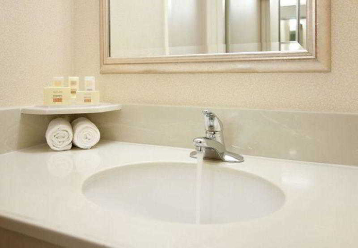 Bathroom 4, Courtyard by Marriott Houston Downtown/Convention Center, Houston