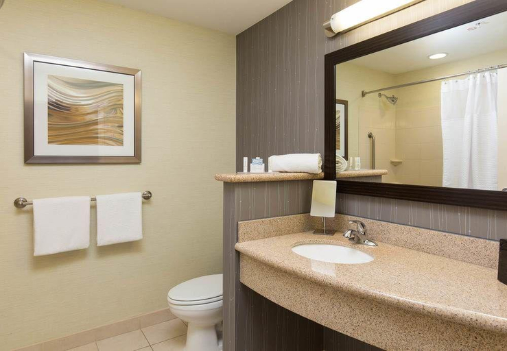 Bathroom 4, Courtyard Des Moines Ankeny, Dallas