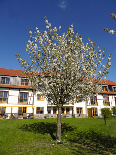 Exterior & Views 4, Robinson Fleesensee, Mecklenburgische Seenplatte