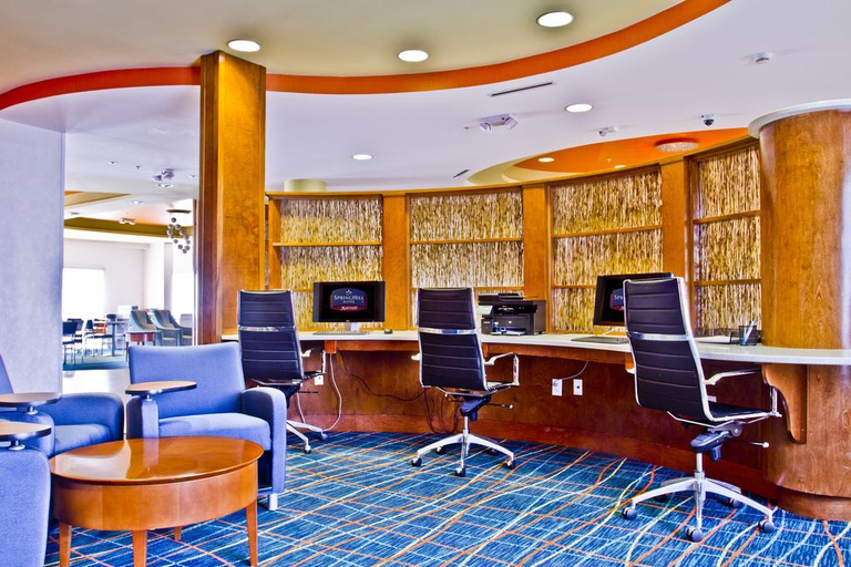 Public Area 2, Springhill Suites Charlotte Ballantyne, Mecklenburg