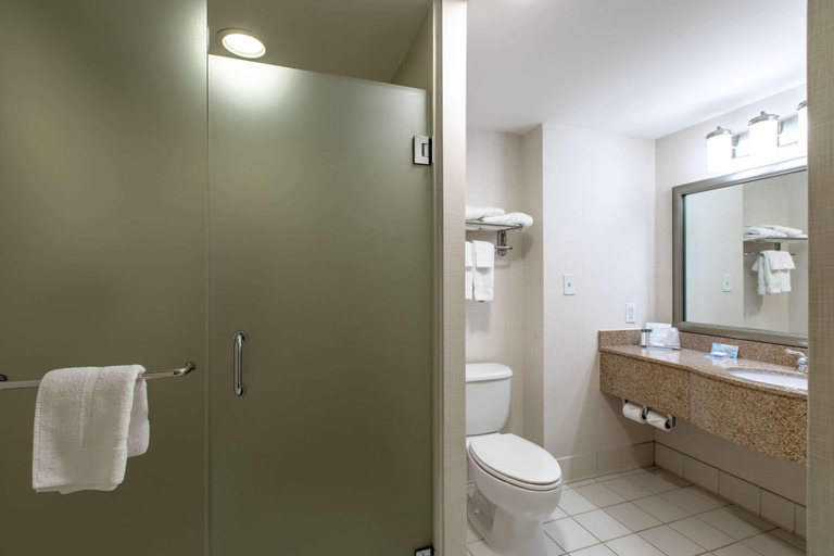 Bathroom 4, Wingate by Wyndham Charlotte Speedway/Concord, Cabarrus