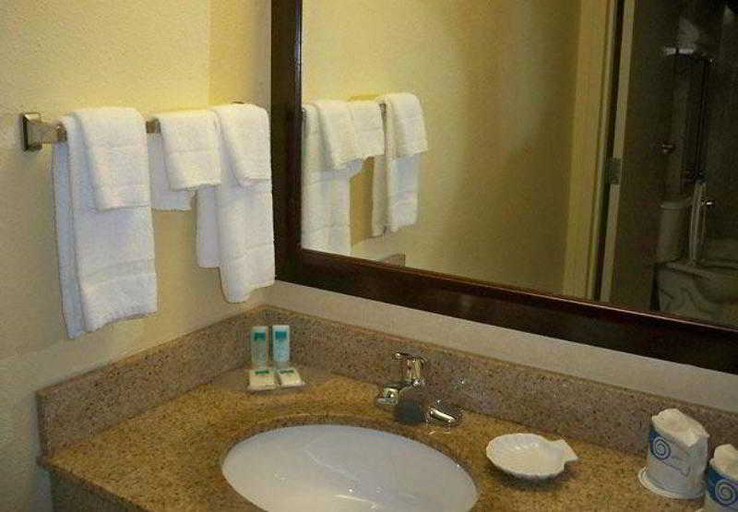 Bathroom 4, Springhill Suites By Marriott Metro Center, Davidson