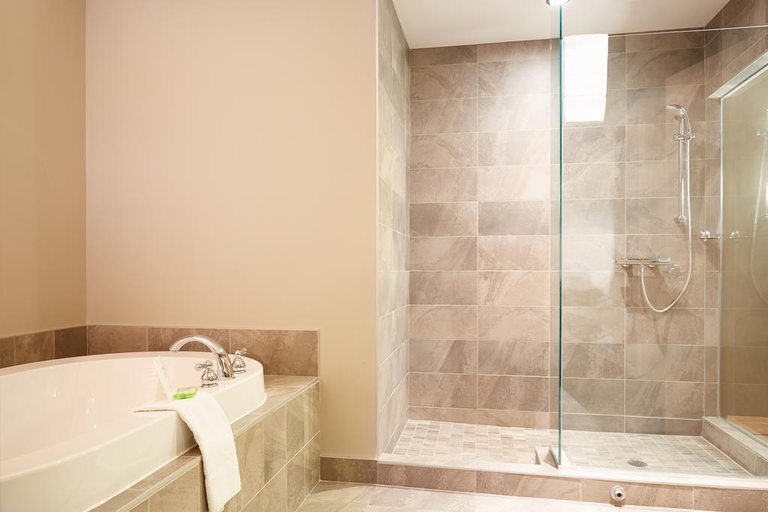 Bathroom 4, Hôtel Le Dauphin Saint-Hyacinthe, Les Maskoutains