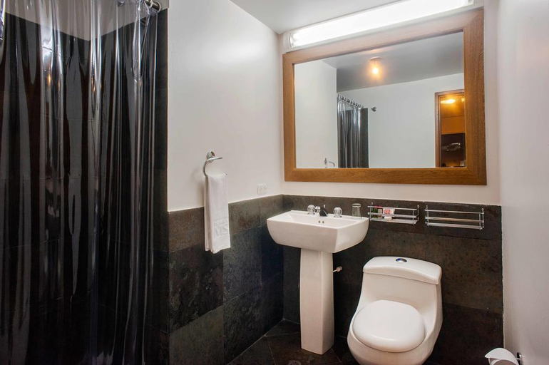 Bathroom, MS Oceania Confort, Santafé de Bogotá