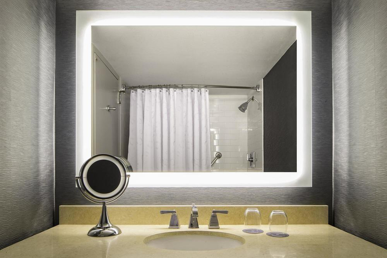 Bathroom 4, Sheraton Arlington, Arlington