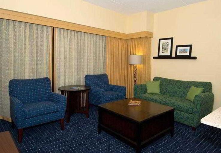 Public Area 3, SpringHill Suites Marriott Norfolk Old Dominion University, Norfolk