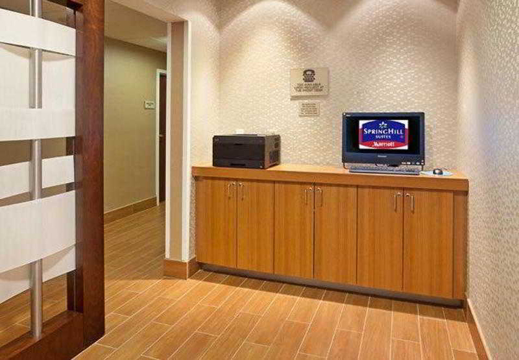 Public Area 2, Springhill Suites By Marriott Metro Center, Davidson