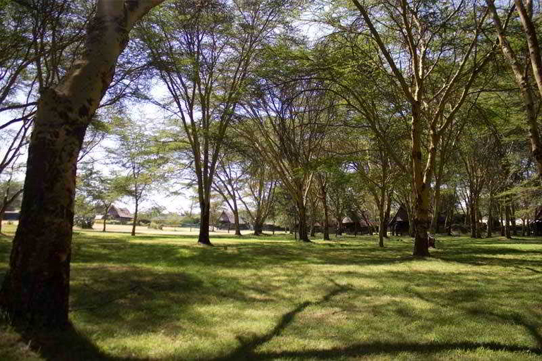 Exterior & Views 3, Lake Naivasha Resort, Naivasha
