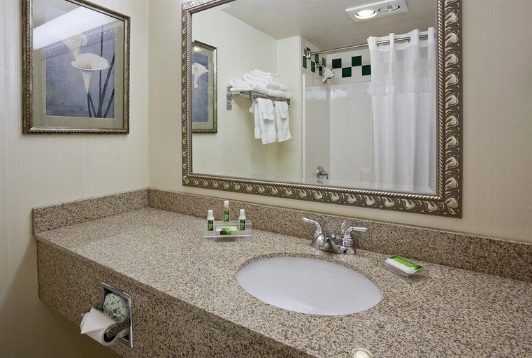 Bathroom 4, Grandstay Hotel & Suites Appleton, Outagamie
