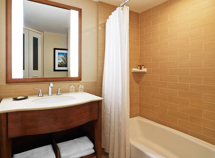 Bathroom 2, Sheraton Augusta Hotel, Richmond