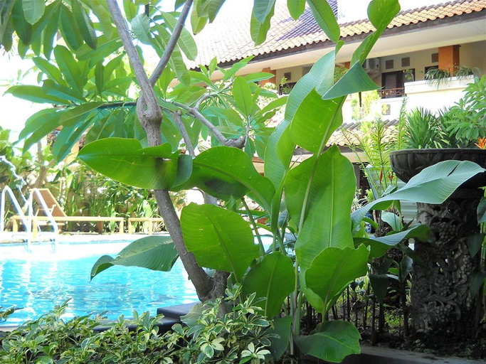 Sport & Beauty 5, Bali Sorgawi, Badung