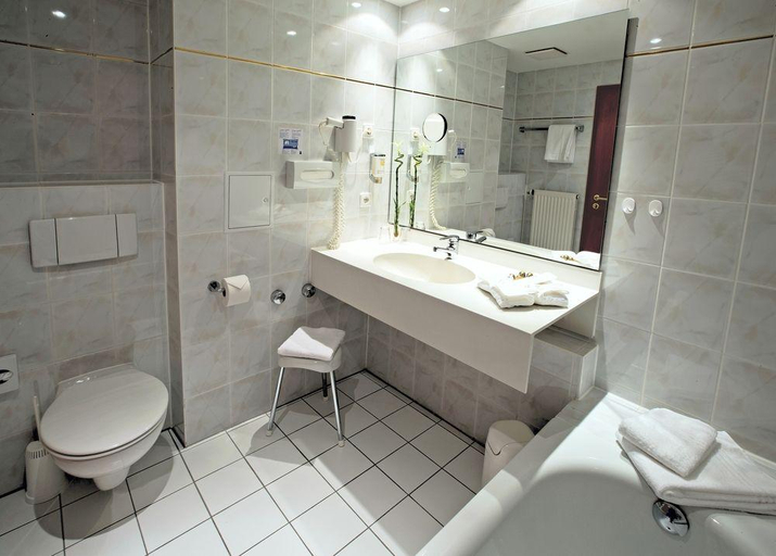 Bathroom, Alpina Lodge Hotel, Erzgebirgskreis