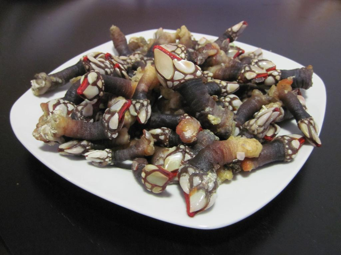 Food & Drinks, Mira Sagres, Vila do Bispo
