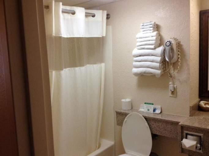 Bathroom 4, EverSpring Inn & Suites, Burleigh